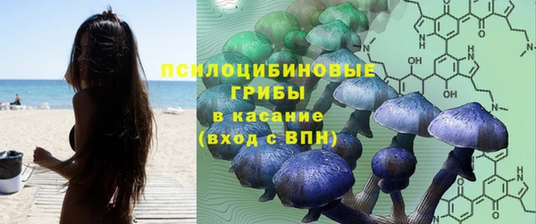 MDMA Михайловка