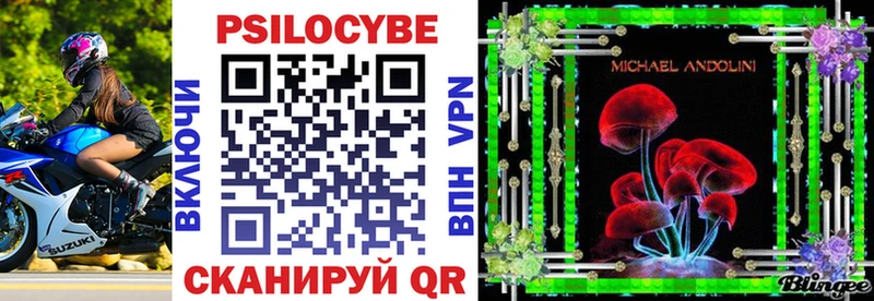 Псилоцибиновые грибы Psilocybe  Уржум 