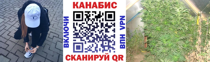 Конопля VHQ  где найти   Уржум 